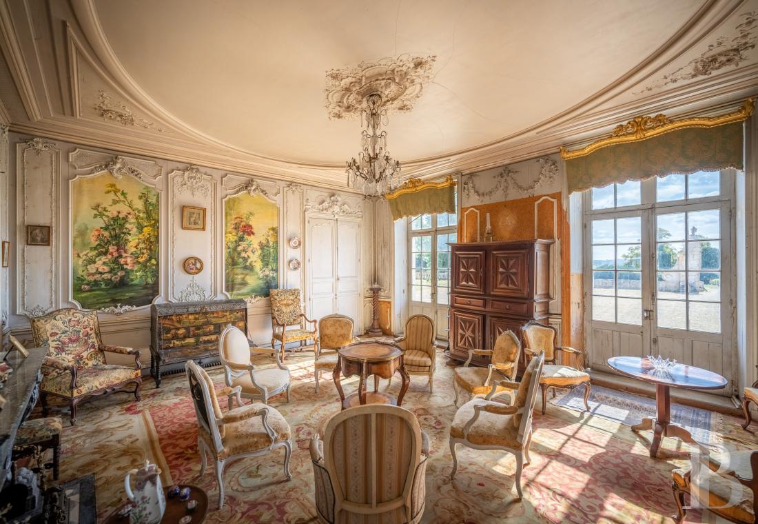 chateaux for sale France poitou charentes   - 7