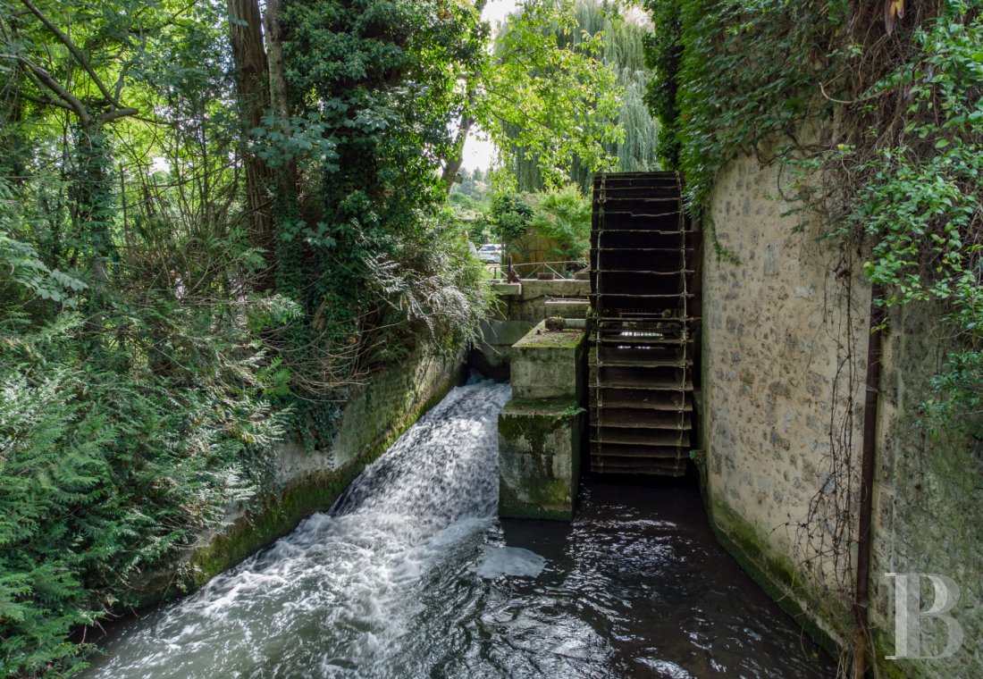 mills for sale France center val de loire   - 20