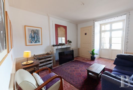 chateaux a vendre bourgogne   - 7