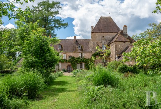 chateaux for sale France burgundy   - 5