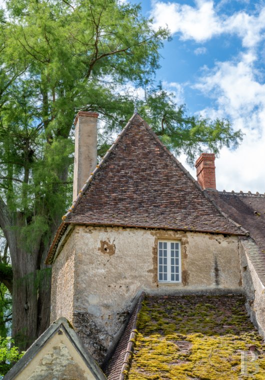 chateaux for sale France burgundy   - 6