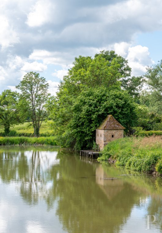 chateaux for sale France burgundy   - 18