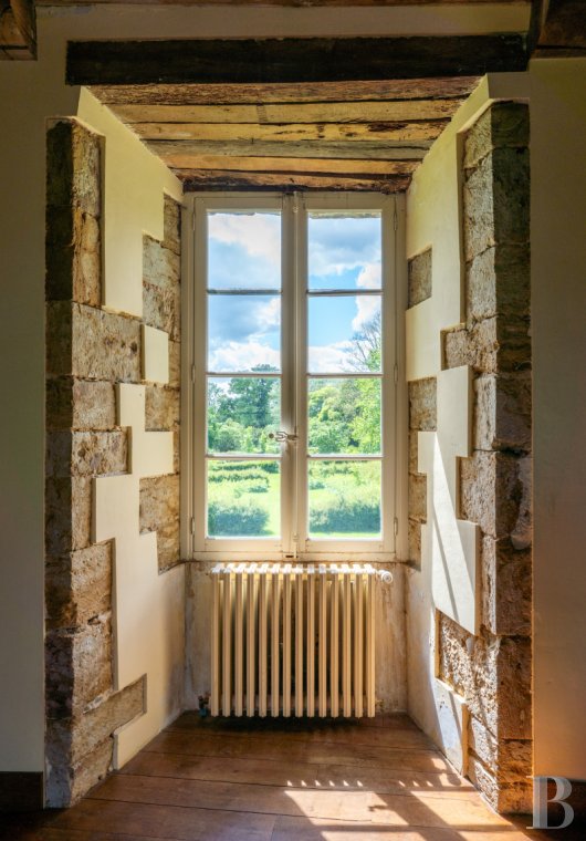 chateaux for sale France burgundy   - 12