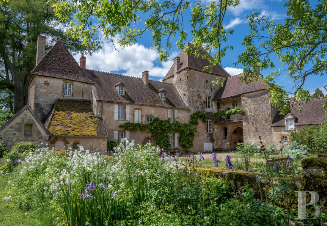 chateaux for sale France burgundy   - 2