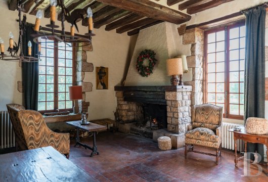 chateaux a vendre centre val de loire   - 9