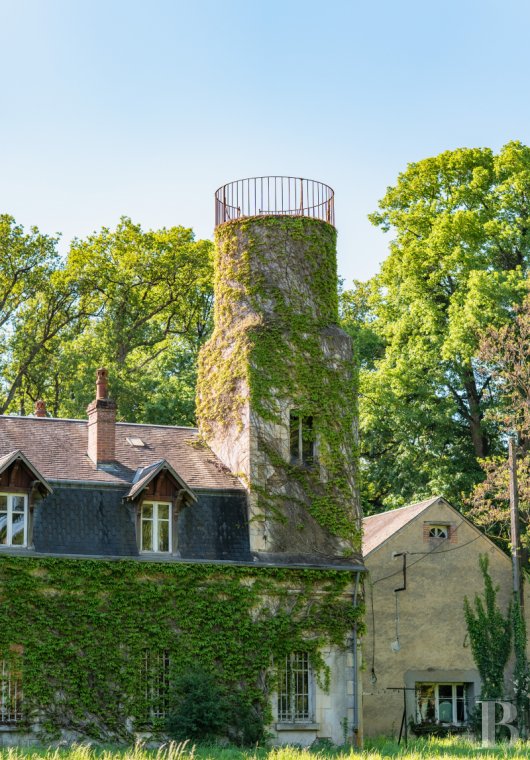 chateaux a vendre centre val de loire   - 18
