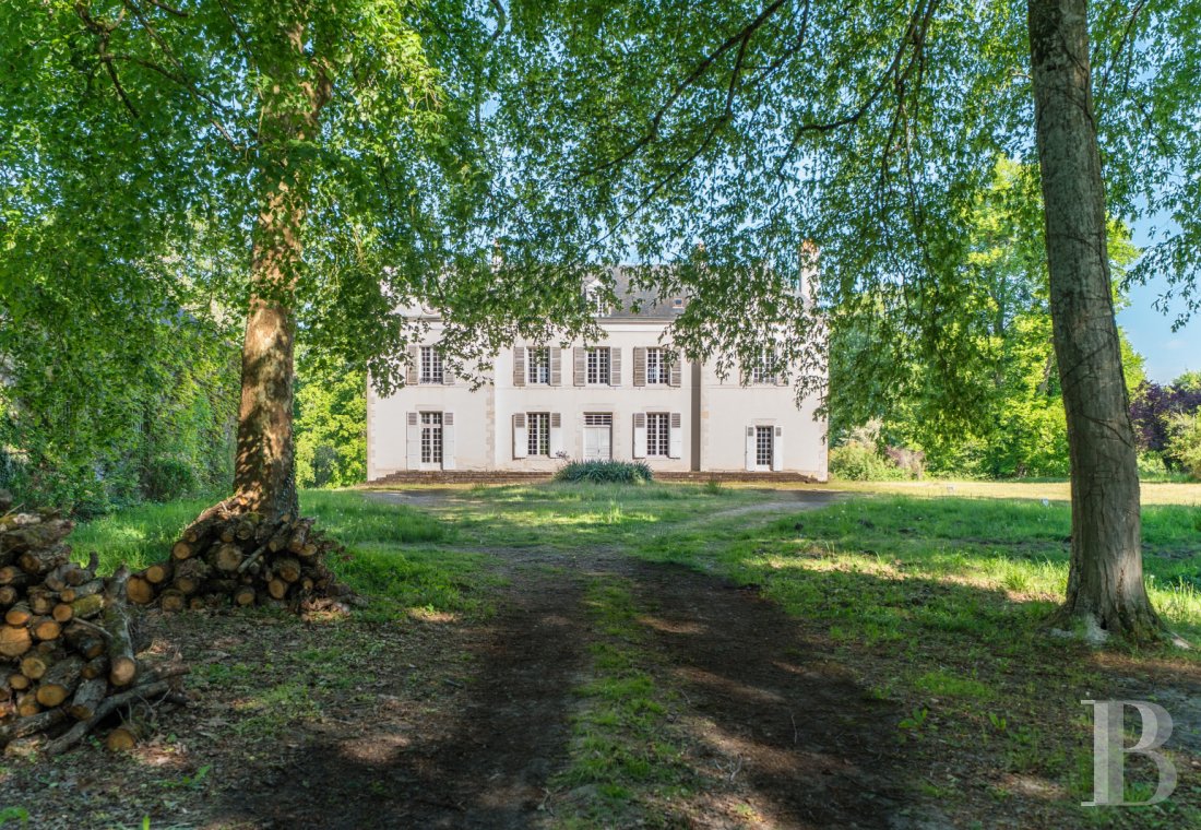 chateaux a vendre centre val de loire   - 1