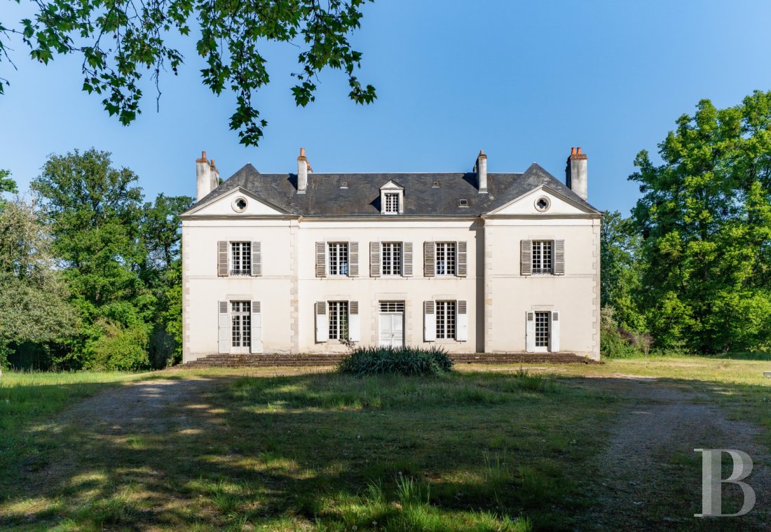 chateaux a vendre centre val de loire   - 2