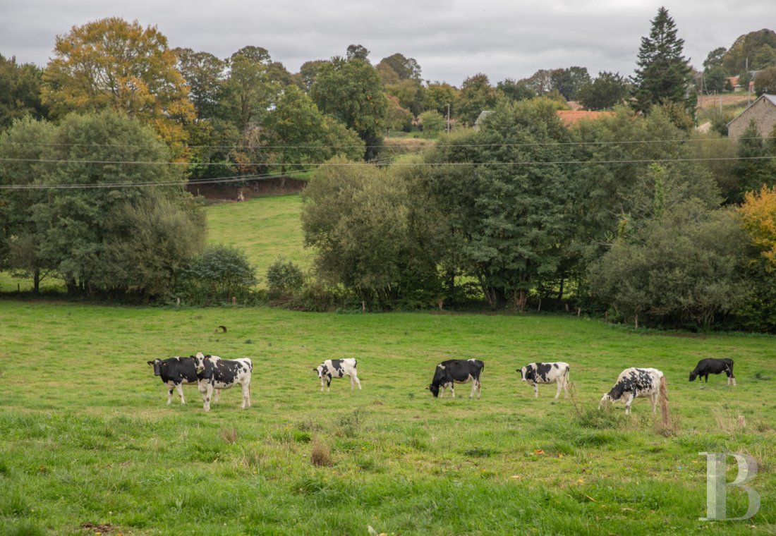 character properties France lower normandy   - 16