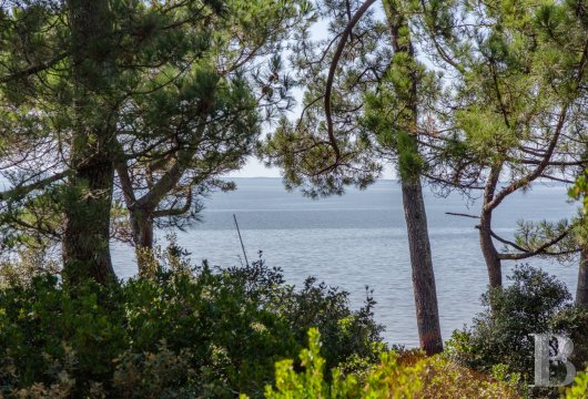 France mansions for sale aquitaine   - 11