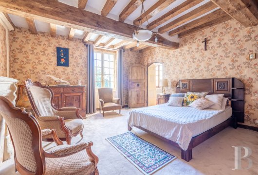 France mansions for sale pays de loire   - 11