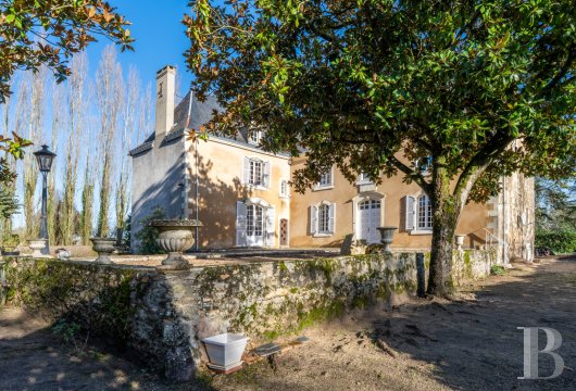 France mansions for sale pays de loire   - 5