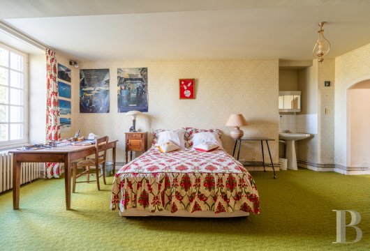 France mansions for sale pays de loire   - 10