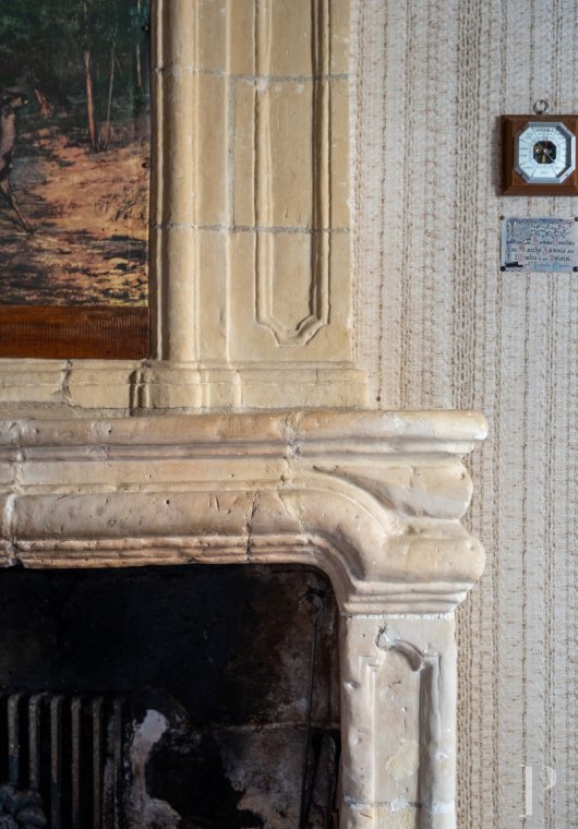 France mansions for sale pays de loire   - 8