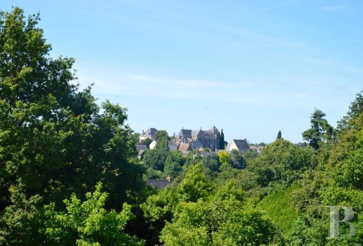 France mansions for sale pays de loire   - 16