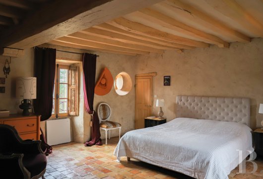 manoirs a vendre pays de loire   - 10