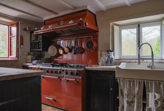 manoirs a vendre pays de loire   - 8