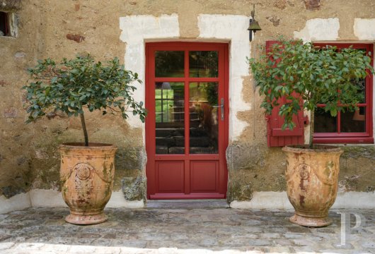 France mansions for sale pays de loire   - 5