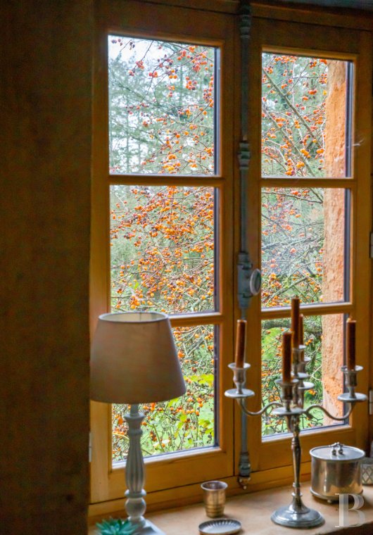 manoirs a vendre pays de loire   - 7