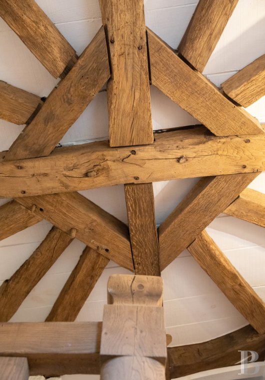 manoirs a vendre pays de loire   - 9