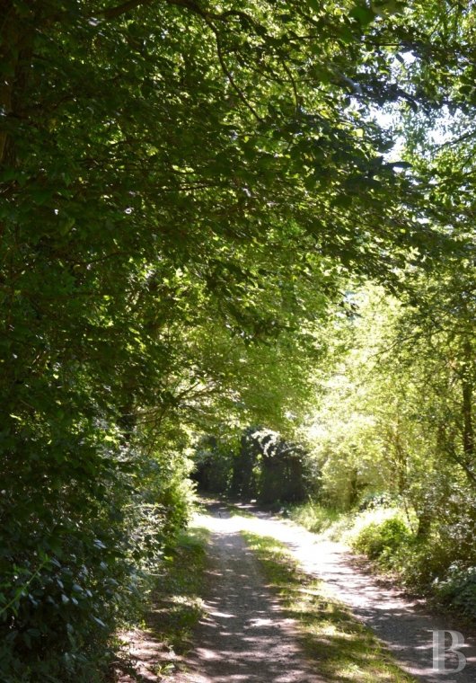 manoirs a vendre pays de loire   - 15