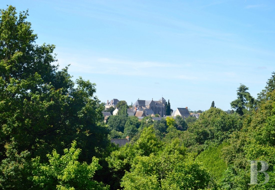 manoirs a vendre pays de loire   - 17