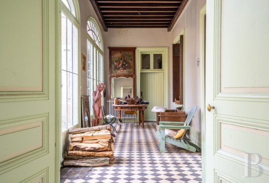 chateaux for sale France center val de loire   - 8