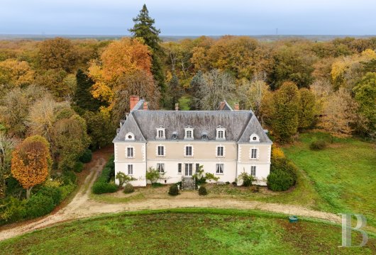chateaux for sale France center val de loire   - 4