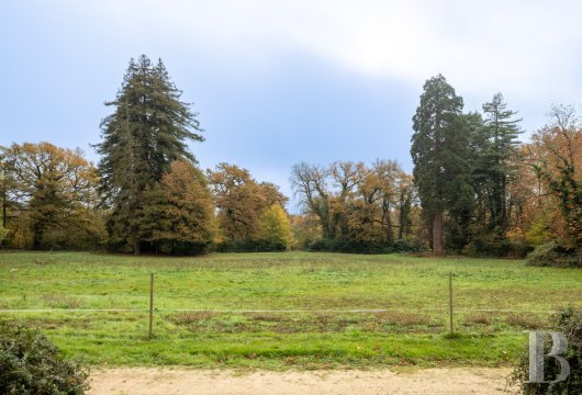 chateaux for sale France center val de loire   - 12