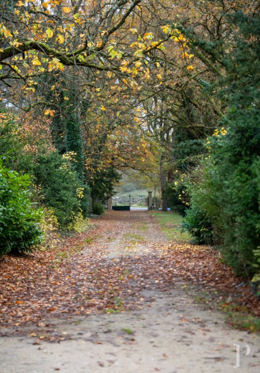 chateaux for sale France center val de loire   - 15