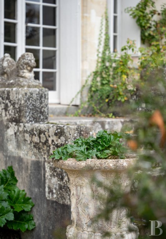 chateaux for sale France center val de loire   - 3