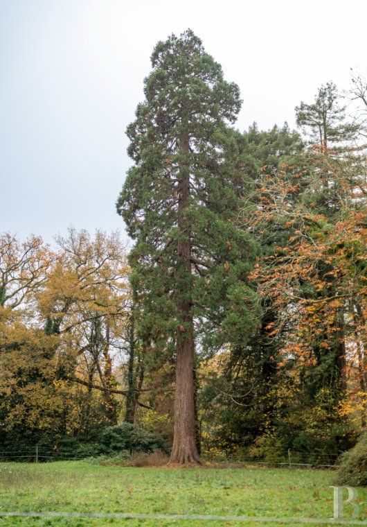 chateaux for sale France center val de loire   - 16