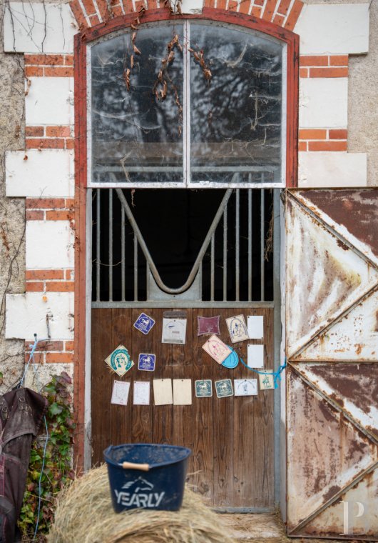 chateaux for sale France center val de loire   - 13