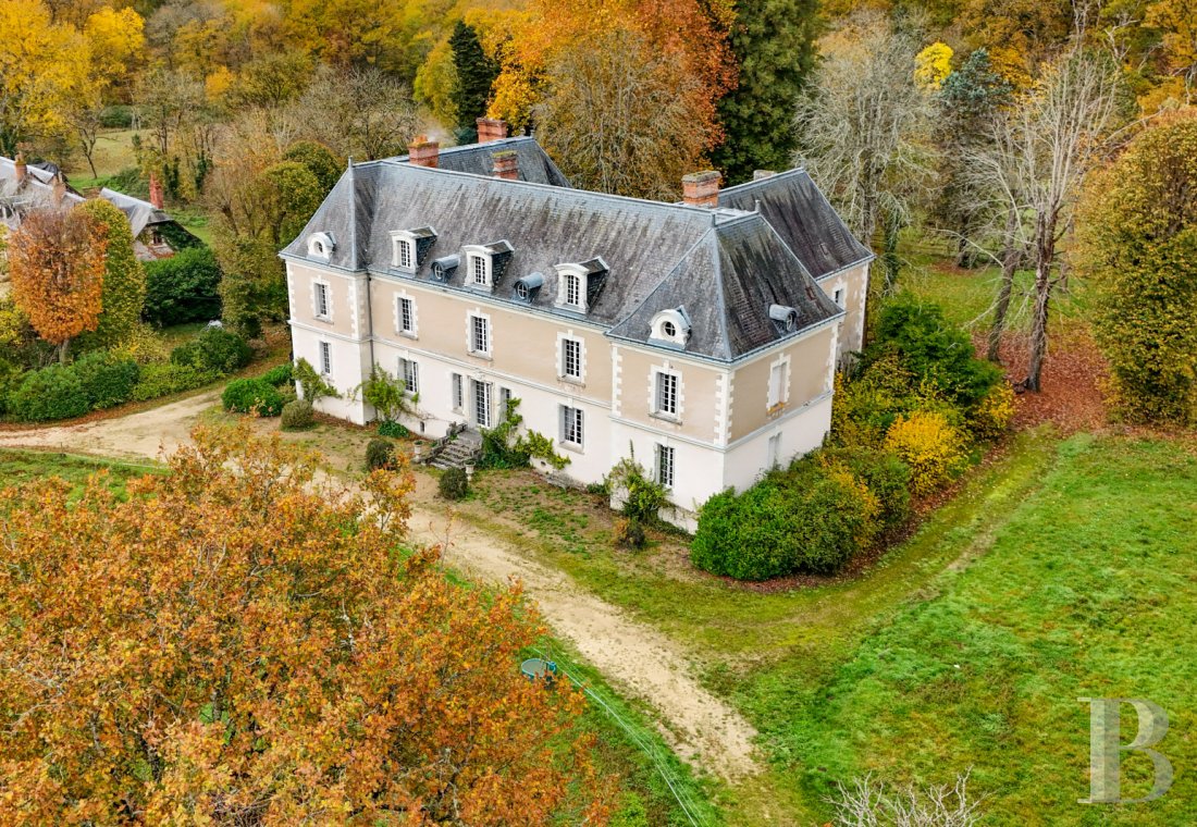 chateaux for sale France center val de loire   - 2