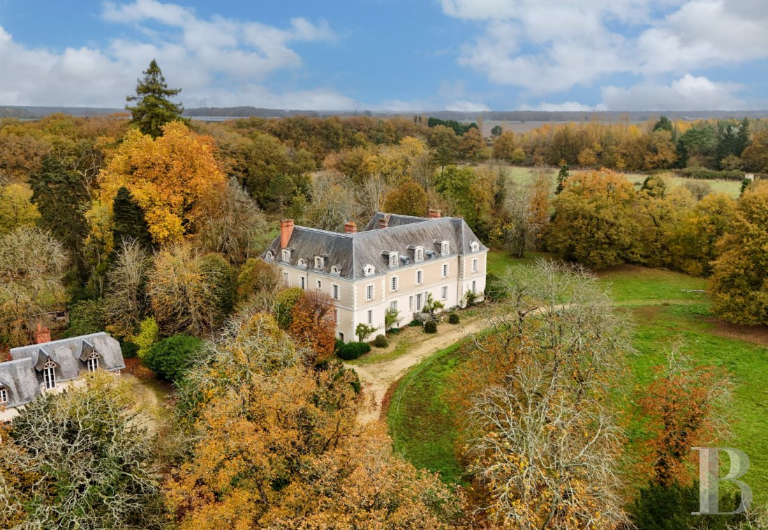 chateaux for sale France center val de loire   - 1