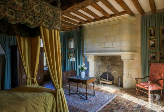 manoirs a vendre pays de loire   - 9