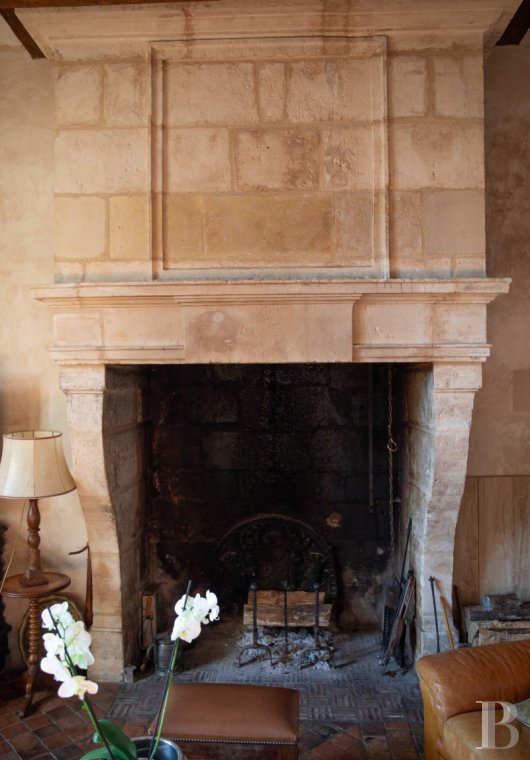 manoirs a vendre pays de loire   - 6