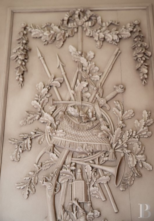 chateaux a vendre pays de loire   - 9