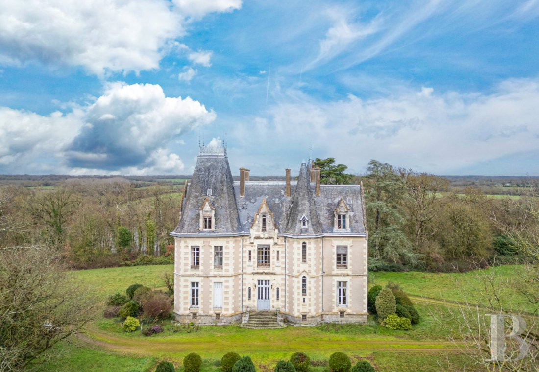 chateaux a vendre pays de loire   - 2