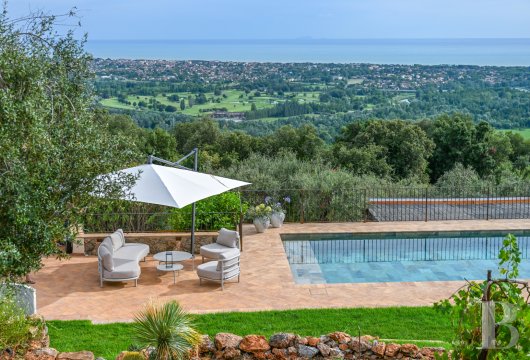 En Toscane, près de Pietrasanta, sur la côte méditerranéenne,  une maison sur les hauteurs au milieu de son oliveraie - photo  n°2