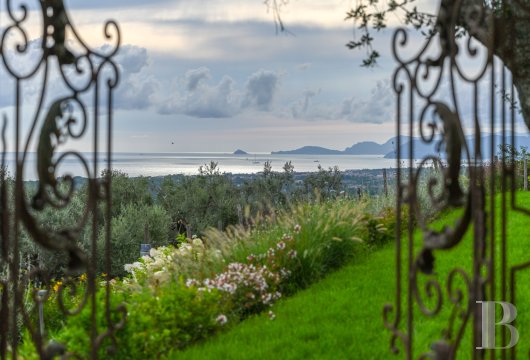 En Toscane, près de Pietrasanta, sur la côte méditerranéenne,  une maison sur les hauteurs au milieu de son oliveraie - photo  n°3