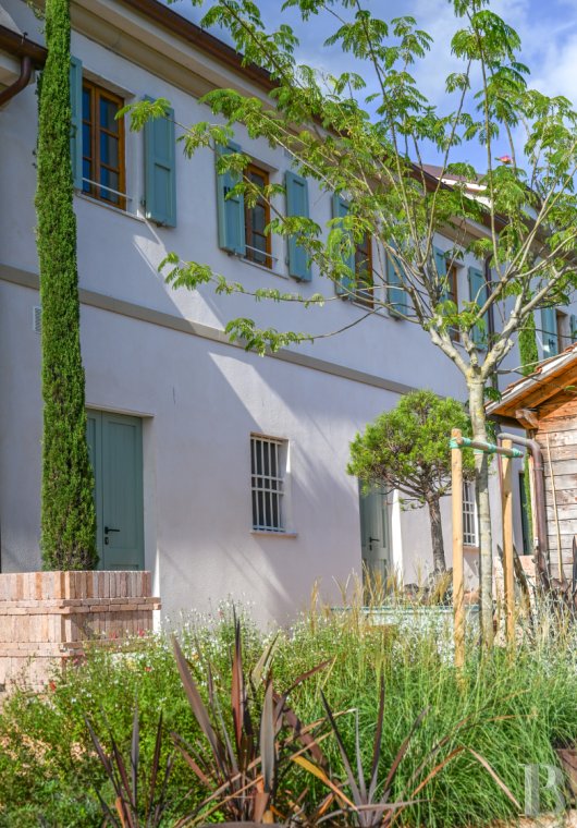 En Toscane, près de Pietrasanta, sur la côte méditerranéenne,  une maison sur les hauteurs au milieu de son oliveraie - photo  n°4