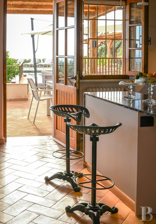 En Toscane, près de Pietrasanta, sur la côte méditerranéenne,  une maison sur les hauteurs au milieu de son oliveraie - photo  n°8