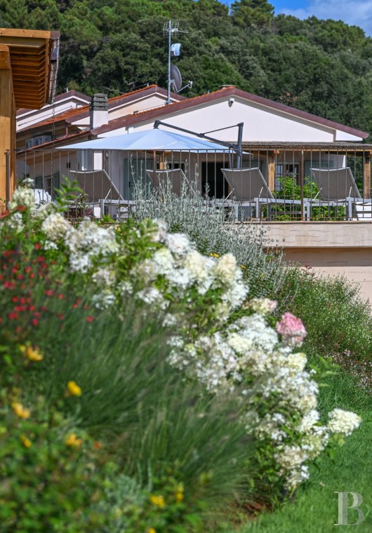 En Toscane, près de Pietrasanta, sur la côte méditerranéenne,  une maison sur les hauteurs au milieu de son oliveraie - photo  n°23