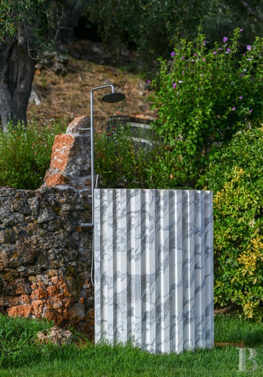 En Toscane, près de Pietrasanta, sur la côte méditerranéenne,  une maison sur les hauteurs au milieu de son oliveraie - photo  n°24