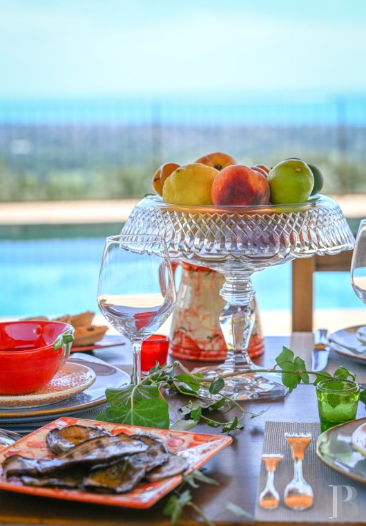 En Toscane, près de Pietrasanta, sur la côte méditerranéenne,  une maison sur les hauteurs au milieu de son oliveraie - photo  n°7