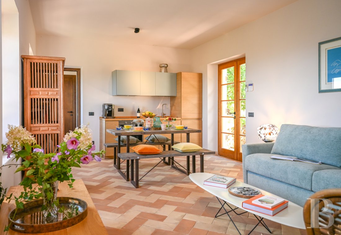 En Toscane, près de Pietrasanta, sur la côte méditerranéenne,  une maison sur les hauteurs au milieu de son oliveraie - photo  n°11