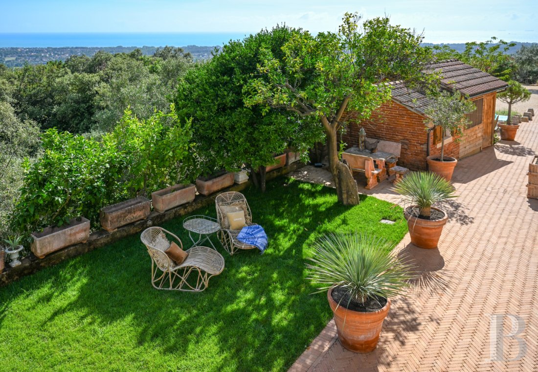 En Toscane, près de Pietrasanta, sur la côte méditerranéenne,  une maison sur les hauteurs au milieu de son oliveraie - photo  n°28