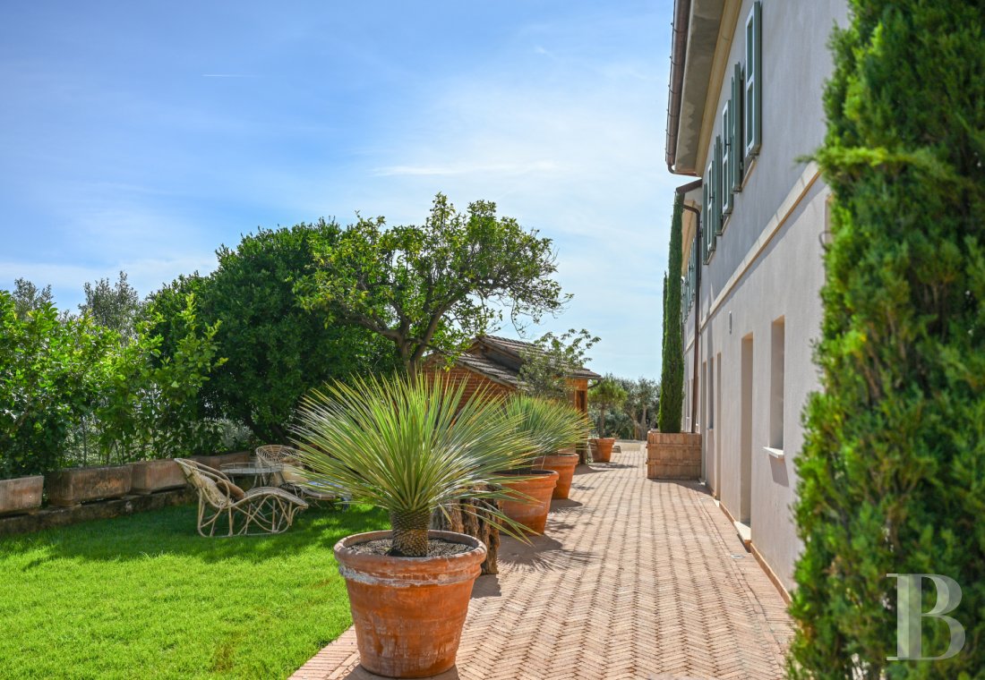 En Toscane, près de Pietrasanta, sur la côte méditerranéenne,  une maison sur les hauteurs au milieu de son oliveraie - photo  n°12
