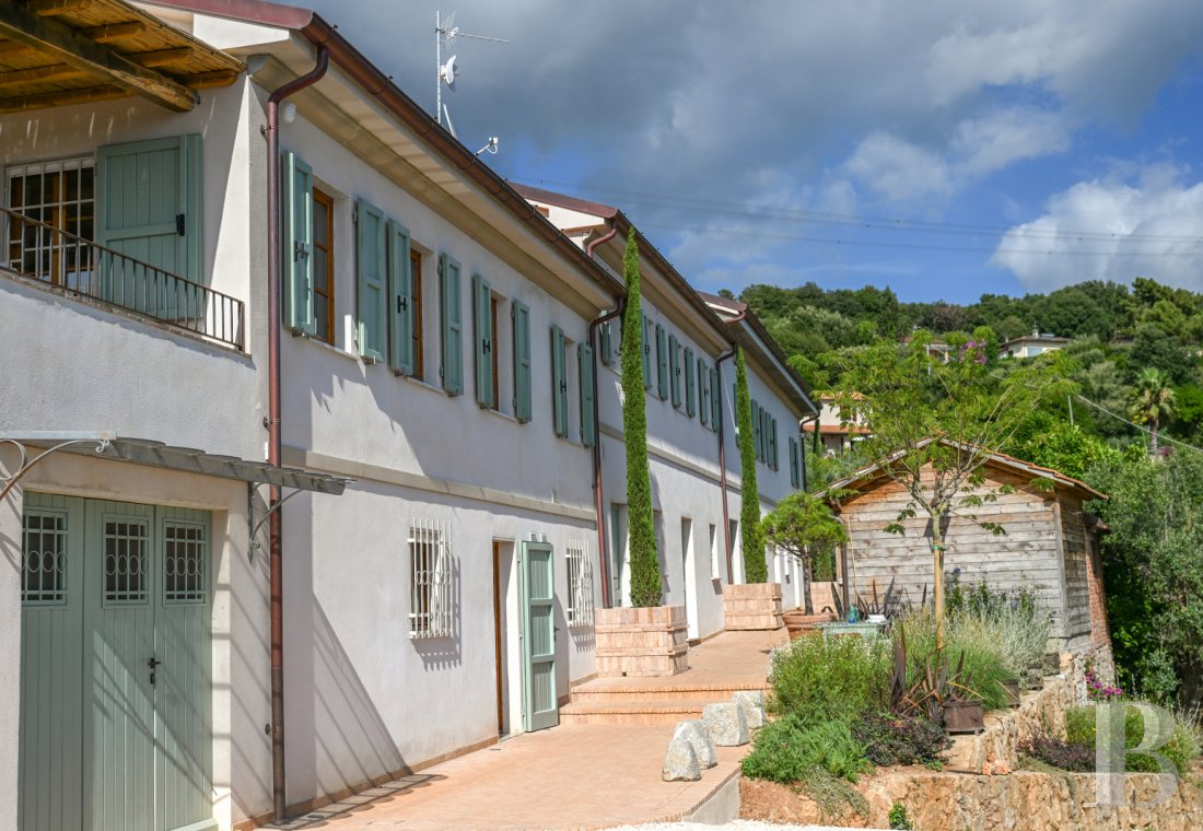 En Toscane, près de Pietrasanta, sur la côte méditerranéenne,  une maison sur les hauteurs au milieu de son oliveraie - photo  n°26